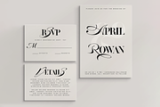 ZP APRIL - Luxury Hybrid Font, a Script Font by Zebra Press (Thumbnail 7 of 13)