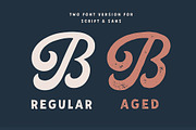 Palmer Script & Sans + Logo Template, a Script Font by Andrey Sharonov (Thumbnail 8 of 17)