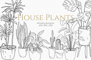 House Plants. Vector illustrations, a Decorative Illustration by iri-illustration
