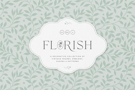 Florish Decorative Vector Collection, an Object Graphic by rouxsupplyco
