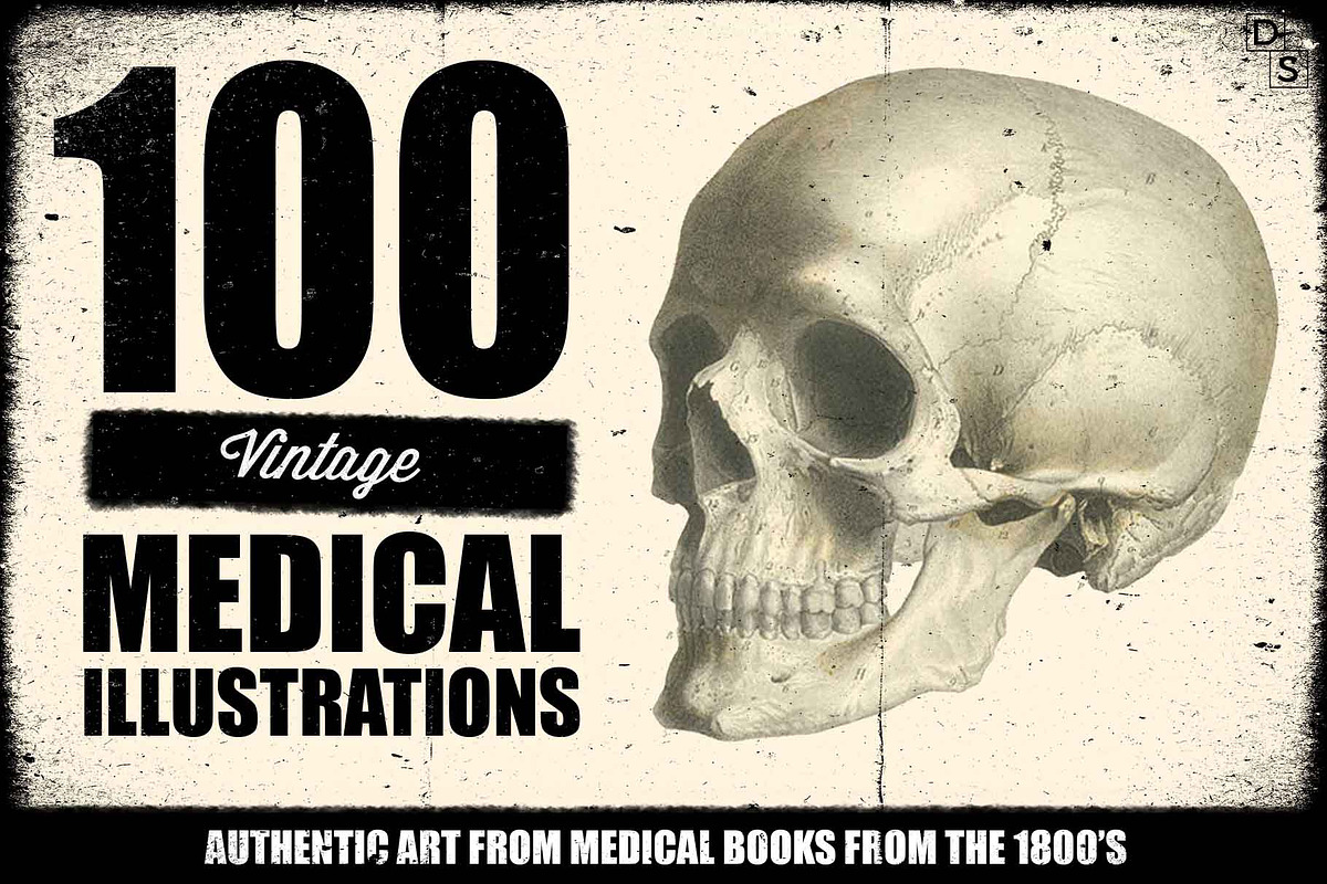 100 Vintage Medical Illustrations, a Healthcare Illustration by Dene Studios (Photo 1 of 7)