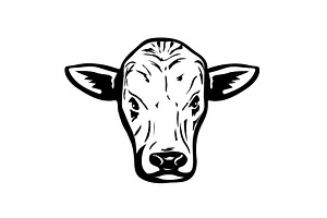 Romagnola Bull Head Front View Retro, an Illustration by patrimonio
