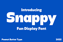 Snappy Fun Display Font