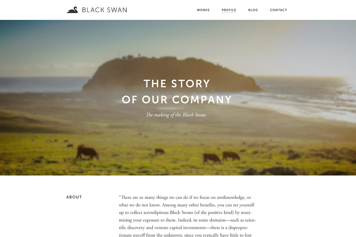 Black Swan Portfolio Template(PSD), an App Template by UI Store (Photo 4 of 5)