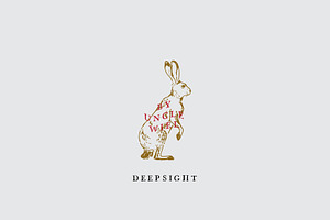 VINTAGE RABBIT LOGO & ILLUSTRATION