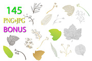 Leaves veins set, an Object Graphic by Digital illustration shop (Thumbnail 3 of 9)