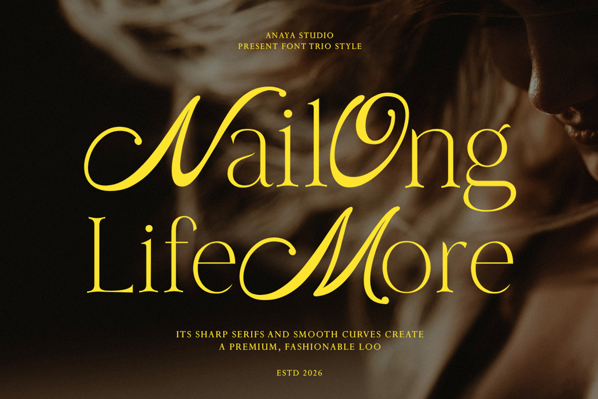 Nailong Lifemore, a Serif Font by AnayaStudio (Photo 10 of 10)