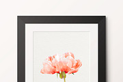 Watercolor Flowers - Peonies, a Graphic by TheSeventhDesire (Thumbnail 10 of 10)