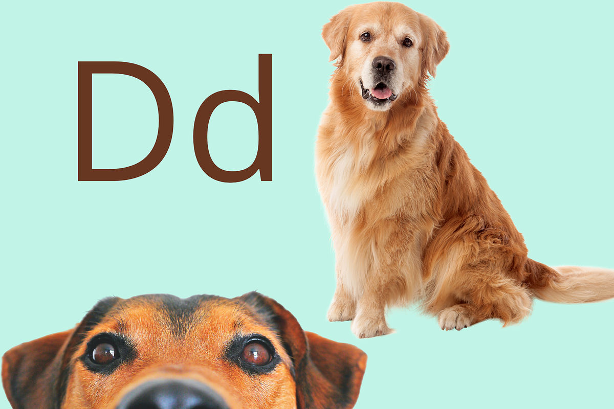 Alphabet Flashcards for Kids, a Poster Template by NailaDesignsStudio (Photo 2 of 3)
