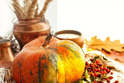 10 Pumpkin Mobile Lightroom Presets, a Preset Add-On by LucaTheme (Thumbnail 8 of 9)