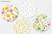 Watercolor meadow herbs&flowers, an Illustration by Depiano (Thumbnail 13 of 19)