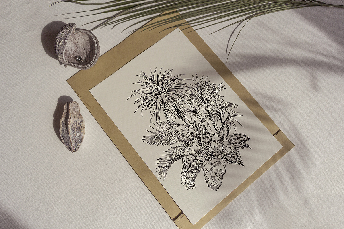 Tropical black& white plants, a Decorative Illustration by Jeanna Draw (Photo 7 of 17)