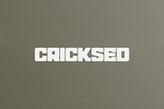 Soecken - Modern Display Typeface, a Slab Serif Font by garismantra (Thumbnail 4 of 4)