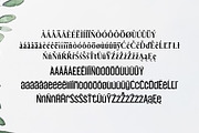 Carolin Duo 5 Font Family Pack, a Sans Serif Font by Creativetacos (Thumbnail 4 of 10)