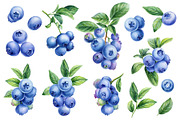 Fruits and berries, an Illustration by Hanna Hryharenka (Thumbnail 6 of 16)