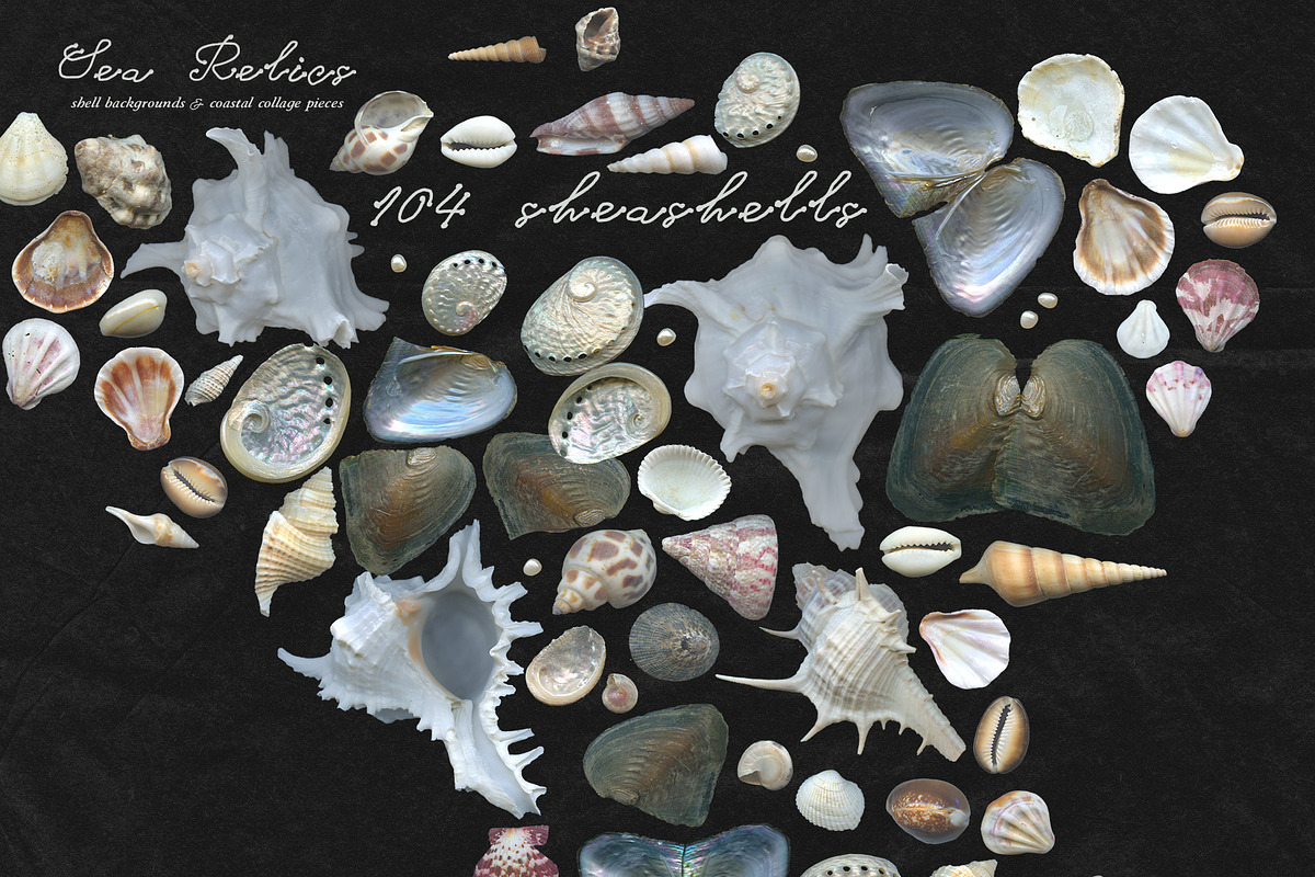 Sea Relics: Objects & Backgrounds, an Object Graphic by Purple (Photo 4 of 14)