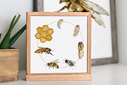 Big Life Cycle Bundle, an Education Illustration by Tati Bordiu (Thumbnail 33 of 43)