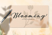Klibers Script, a Script Font by Picatype Studio (Thumbnail 2 of 8)