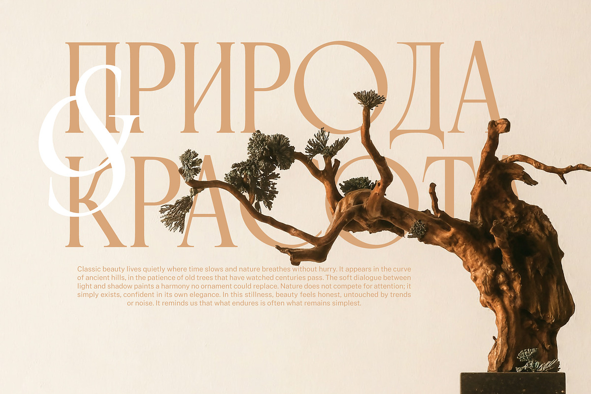 Rosevine – Cyrillic Version, a Serif Font by Hakara Type (Photo 4 of 12)