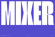 Seriguela - Family 50% off, a Sans Serif Font by Latinotype (Thumbnail 3 of 15)