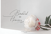 Zallety Signature, a Script Font by danti (Thumbnail 3 of 11)