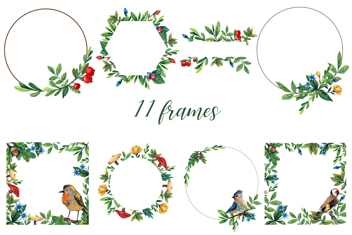 Forest Birds - Gouache Clipart Set, an Animal Illustration by Mashamashastu (Photo 5 of 11)