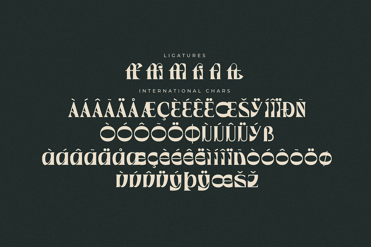Waflerd Modern Display Font, a Serif Font by Letterena Studios (Photo 14 of 15)