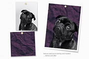 Aubergine Textures, a Texture Graphic by rileyBgraphics (Thumbnail 4 of 8)