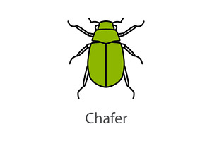 European Chafer Color Icon