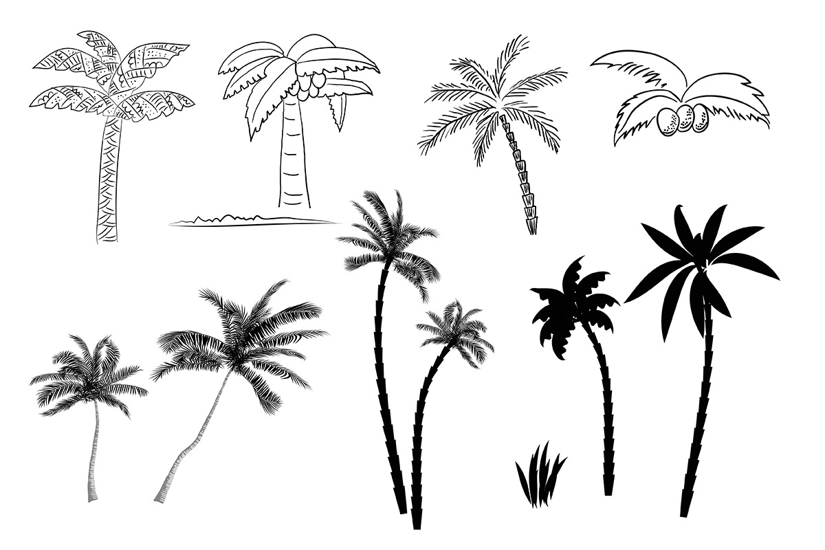 №124 Palm tree, an Object Illustration by Rasveta (Photo 4 of 5)