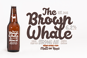 Poster Brush (-50% intro offer), a Script Font by Fenotype (Thumbnail 3 of 15)