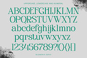 Blomenia, a Serif Font by Zaloma Studio (Thumbnail 16 of 18)