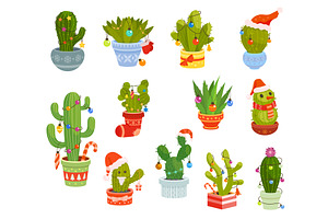 Christmas Holiday Cactuses