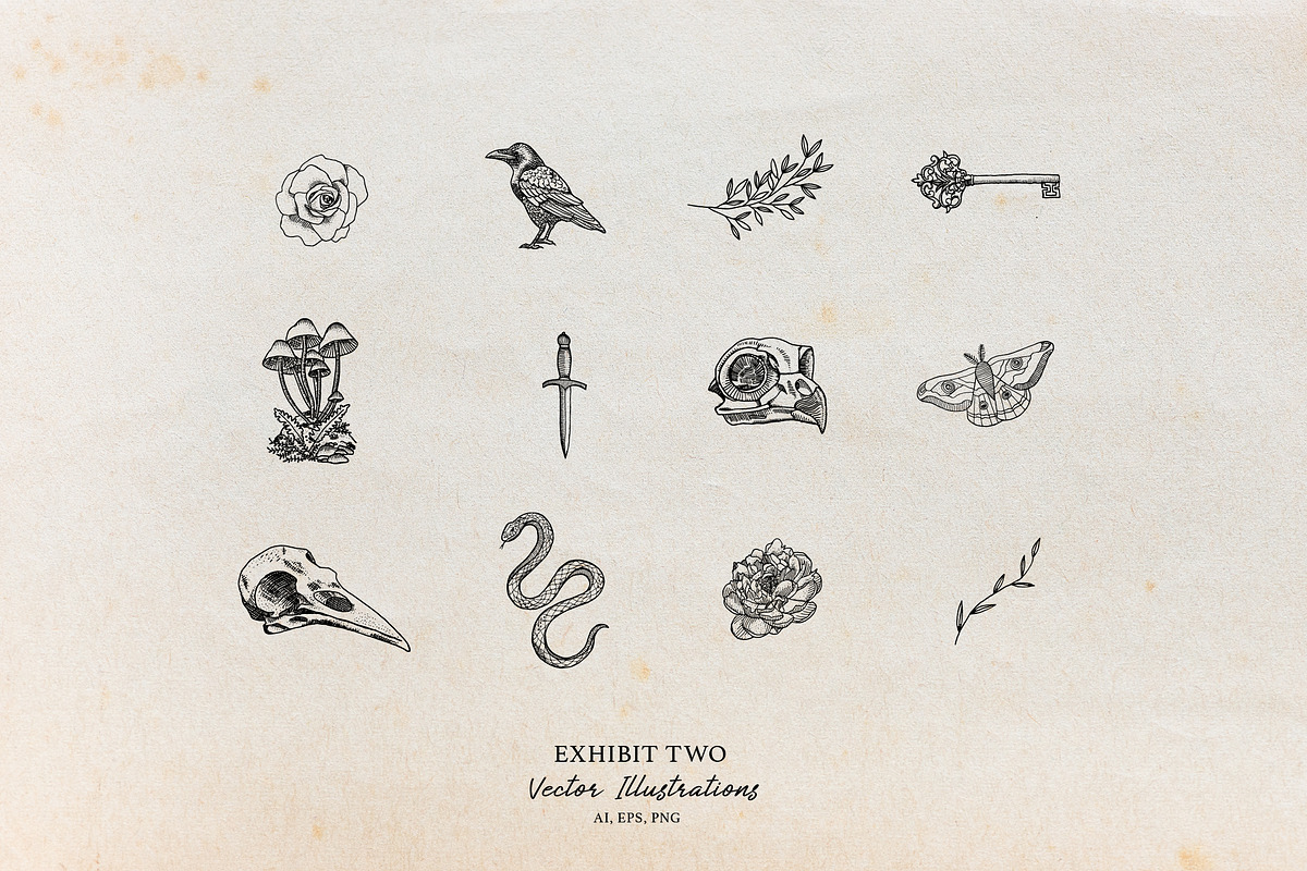 Logos & Lines | Until Nevermore, a Branding & Logo Template by Galaxybomb (Photo 5 of 14)