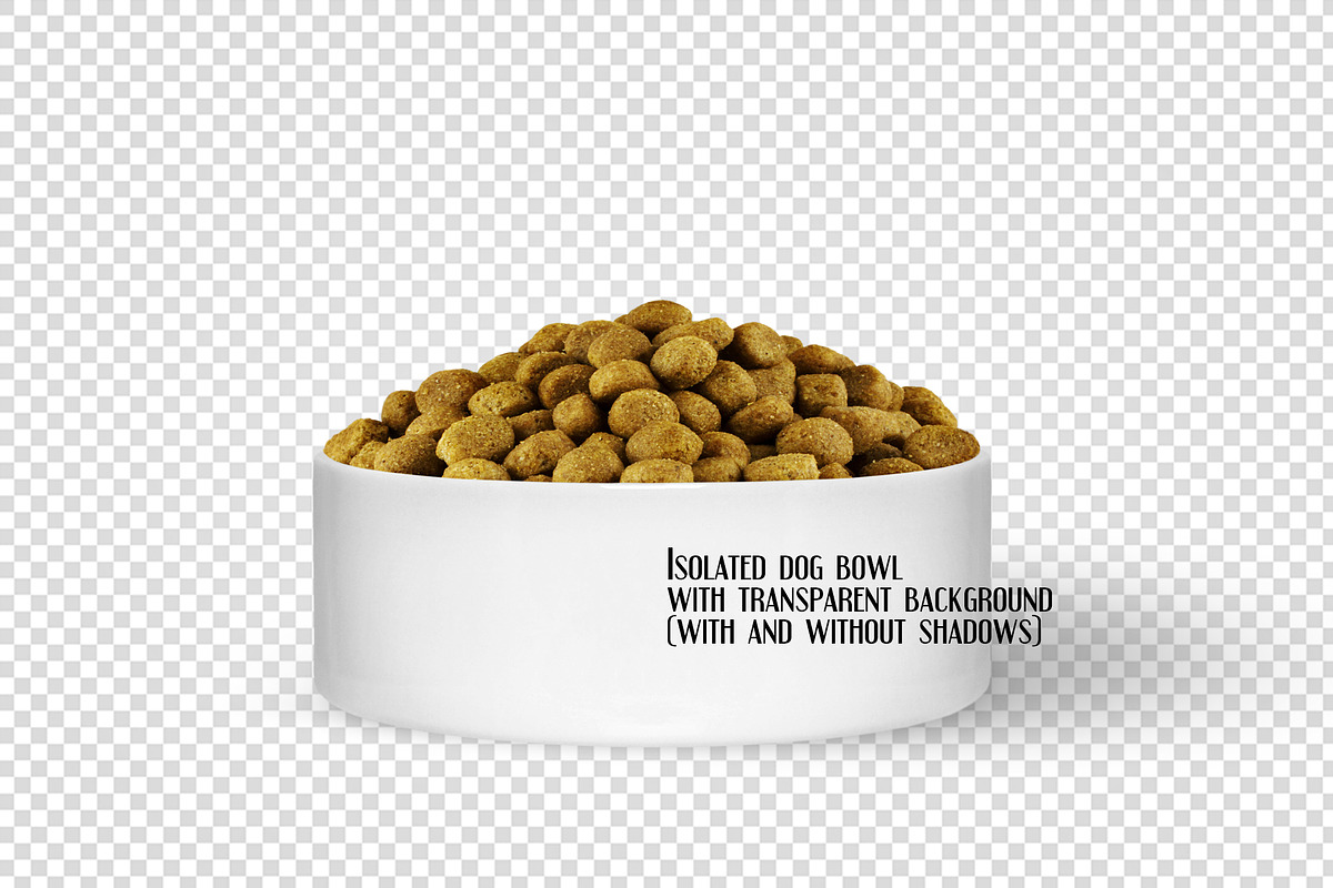 Dog Bowl Mockup, a Product Mockup by Dorado Stock (Photo 4 of 6)