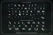 Entielin Decorative Serif Font, a Serif Font by Rasio Studio (Thumbnail 3 of 9)