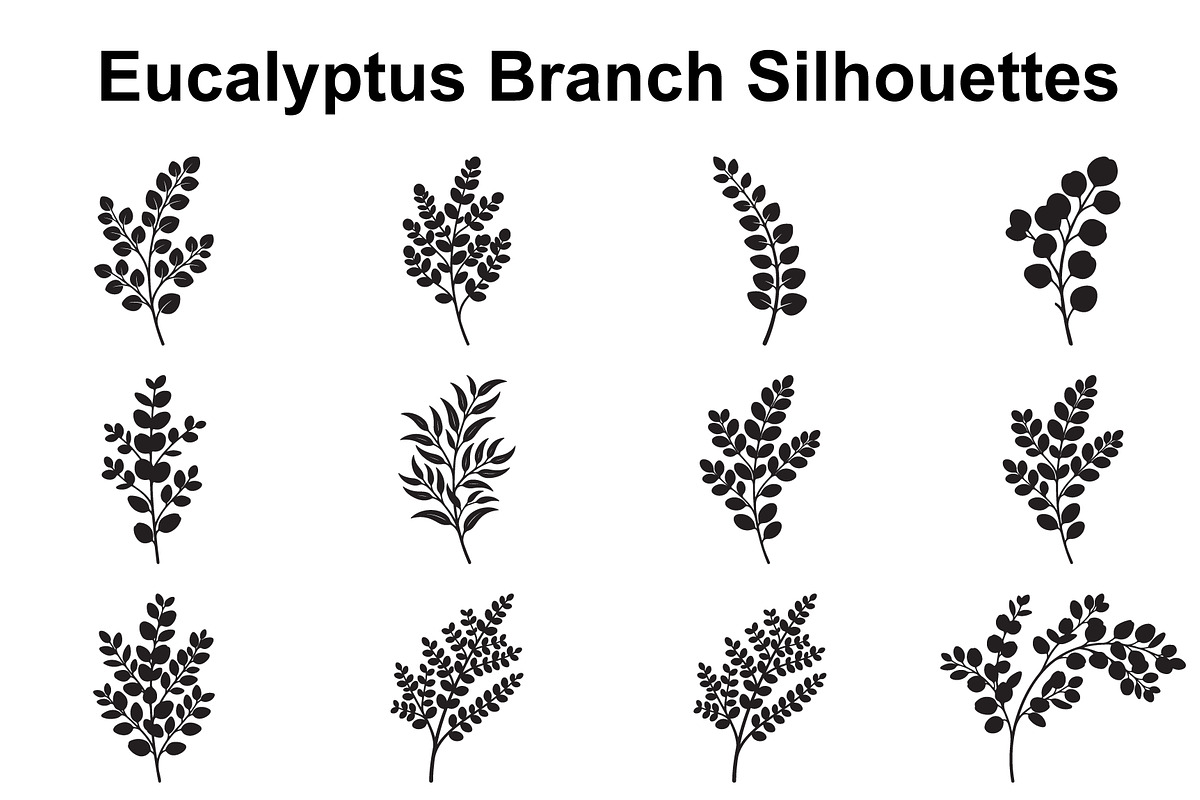 Eucalyptus Leaf Branch Collection, an Object Graphic by Designer_Momina (Photo 1 of 3)