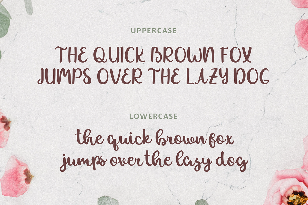 Allexa | Script Font, a Script Font by Suntype | Sunshine Std (Photo 7 of 10)