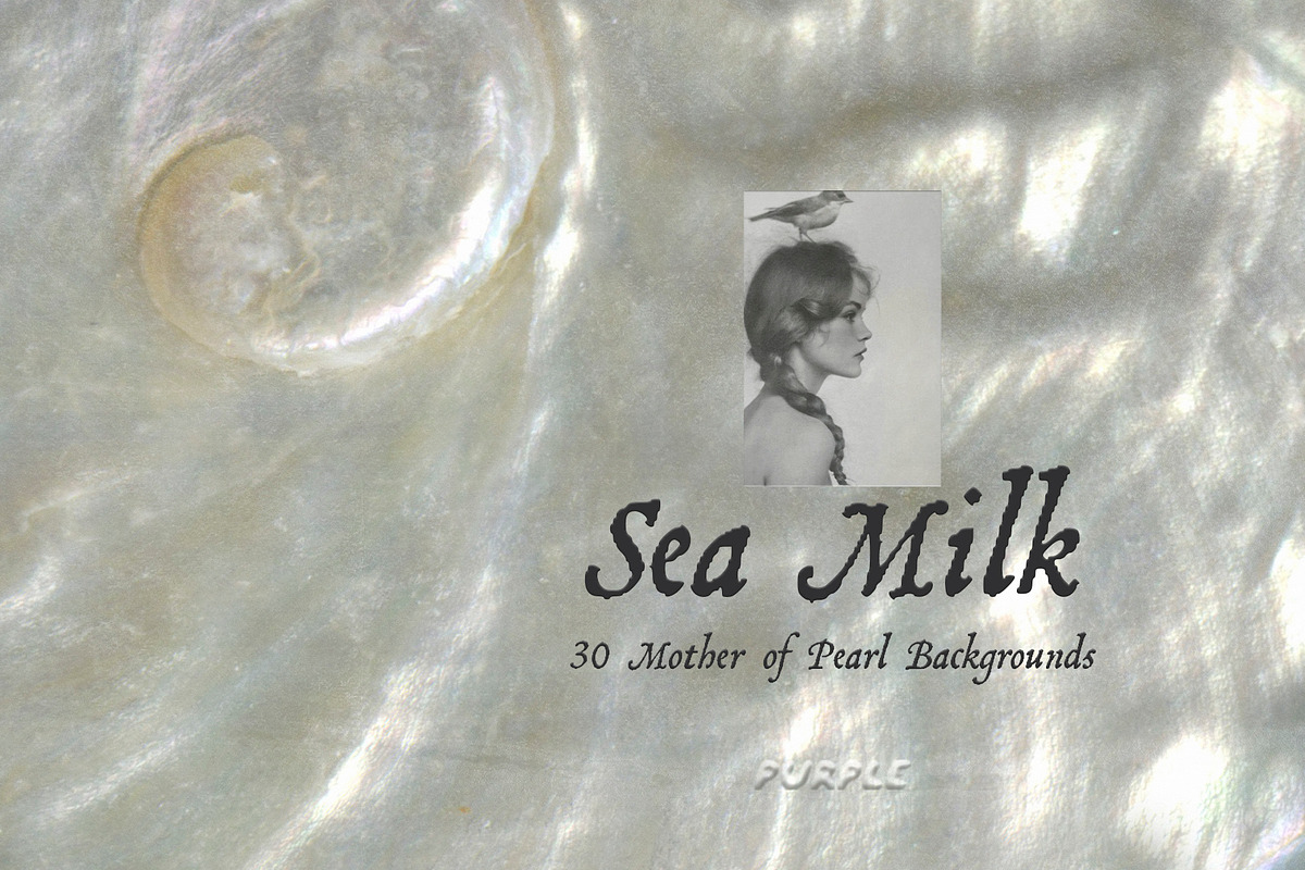 Sea Milk: Sheashell Backgrounds, a Background Graphic by Purple (Photo 1 of 10)