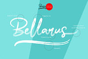 Bassy - Brush Font, a Script Font by erlosDESIGN (Thumbnail 6 of 14)