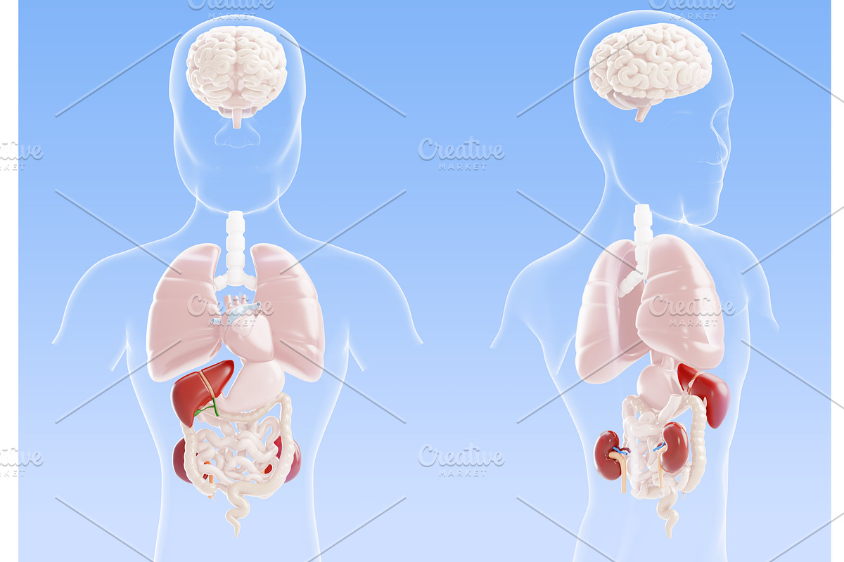 3d hepatitis and liver cirrhosis -, a Healthcare Illustration by Marozhkastudio