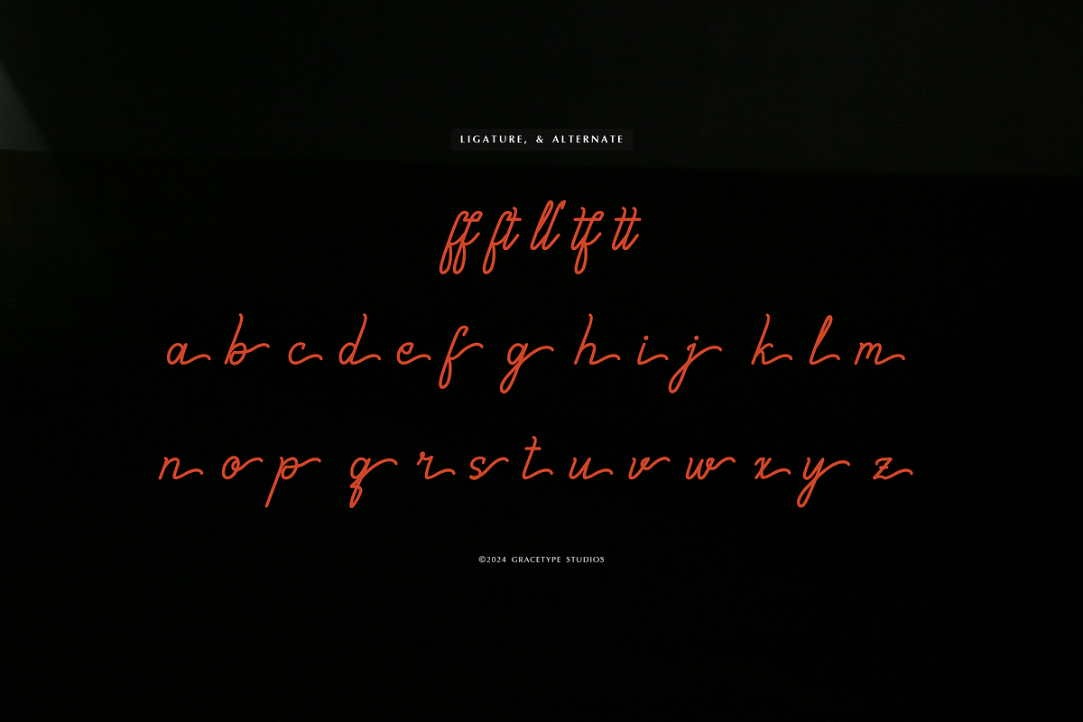 Marylona | Monoline Script font, a Script Font by gracetype_studio (Photo 11 of 12)
