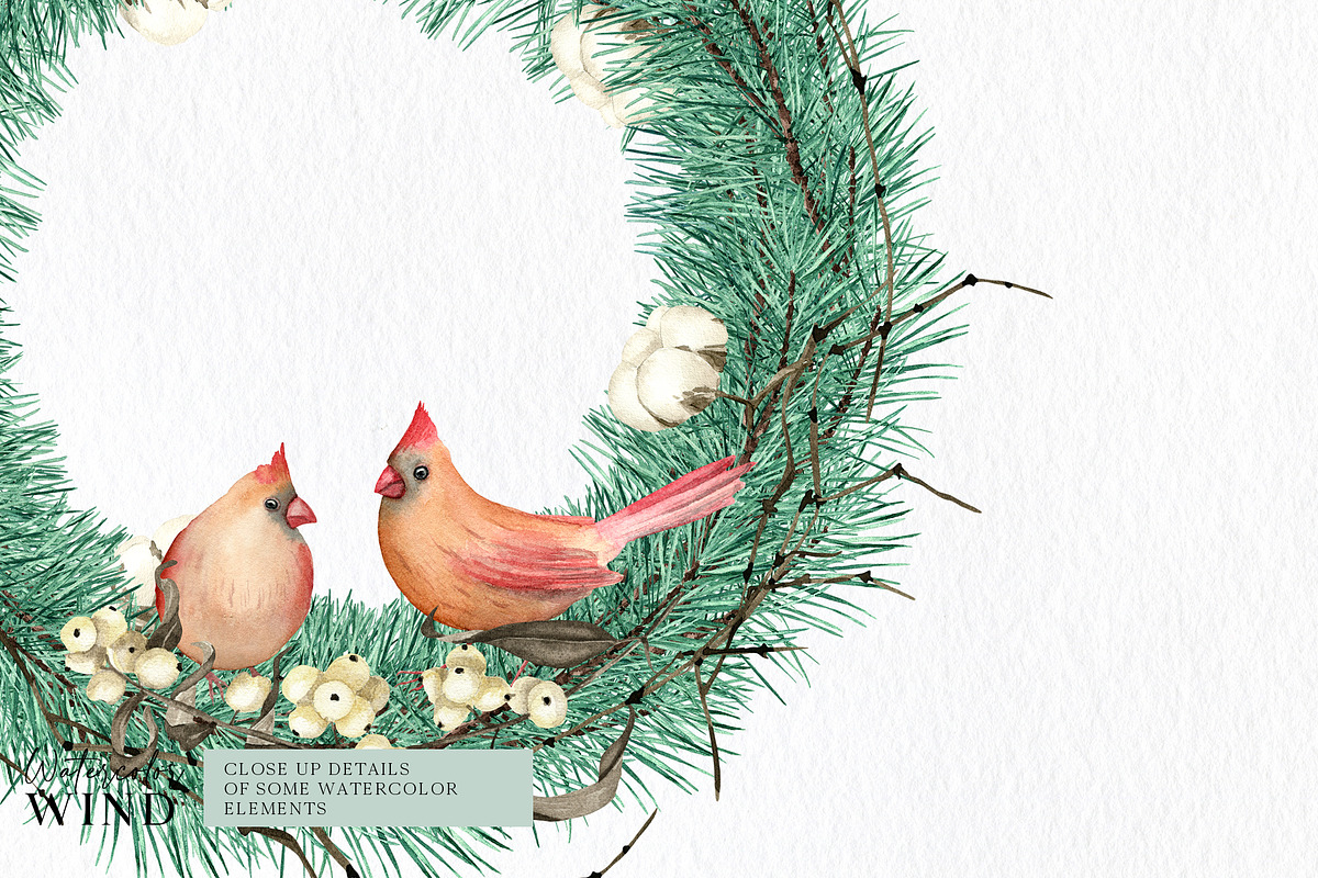 Christmas Teal Clipart Cardinal Bird, an Illustration by Ksenia Shmakova (Photo 12 of 16)