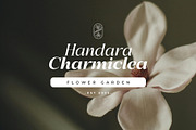 Bigsmile Serif Family, a Serif Font by Violet Natural (Thumbnail 3 of 13)