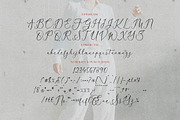 Veganzone Armstrong Modern Font Duo, a Serif Font by Storytype Studio (Thumbnail 10 of 13)