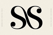 Qelrage Modern Serif Font, a Serif Font by Storytype Studio (Thumbnail 3 of 15)