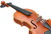 Violin musical equipment, set, an Object Graphic by ARTYuSTUDIO (Thumbnail 12 of 14)
