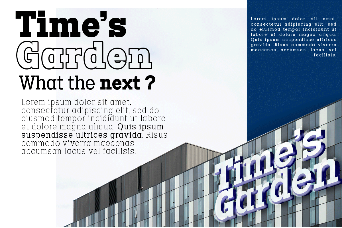 Codename FX, a Slab Serif Font by Differentialtype (Photo 7 of 10)