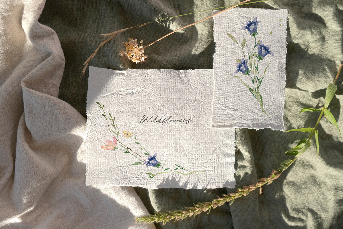 Summer Watercolor Wildflowers, a Decorative Illustration by Les Frolova (Photo 5 of 11)