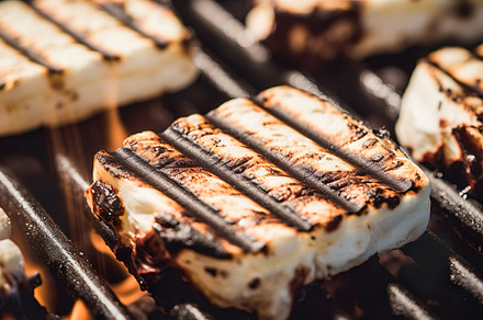 Fireside Delight: Gooey Marshmallow Roasting, a Food & Drink Photo by Iconogenic